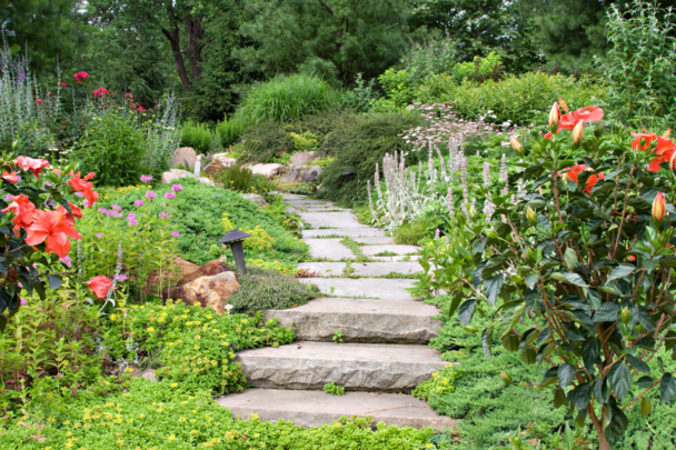 Een natuurtuin met bloemen en een pad met stenen.