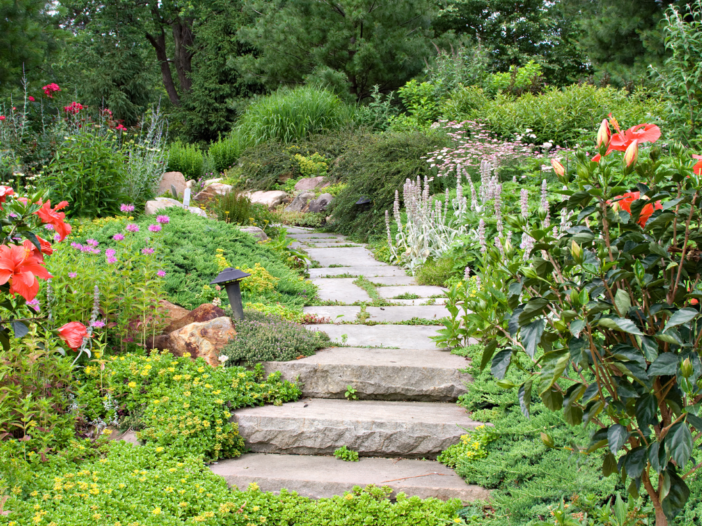 Een natuurtuin met bloemen en een pad met stenen.