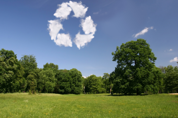 Een groen bos met in de blauwe lucht een natuur element. Dit natuur element is gemaakt van wolken en staat voor duurzaamheid en energie.