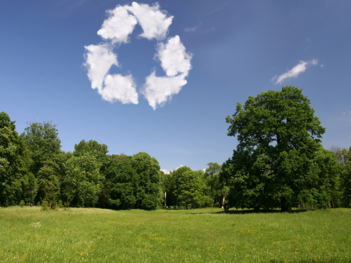 Een groen bos met in de blauwe lucht een natuur element. Dit natuur element is gemaakt van wolken en staat voor duurzaamheid en energie.