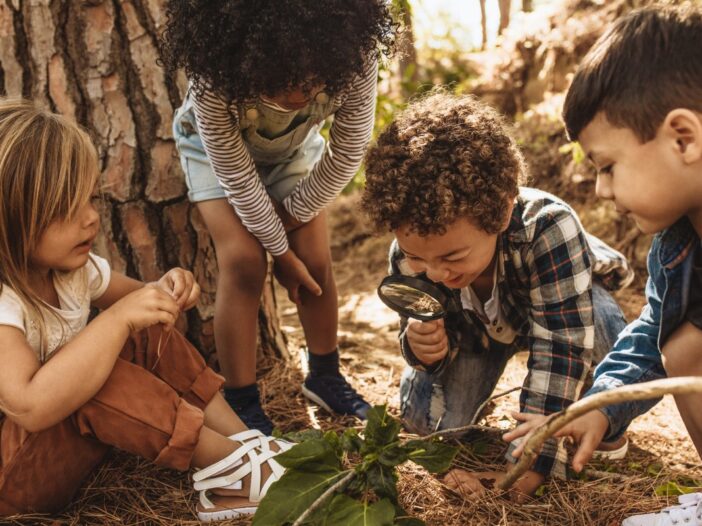 Vier kinderen zijn bij een boom in het bos aan het spelen en ontdekken.