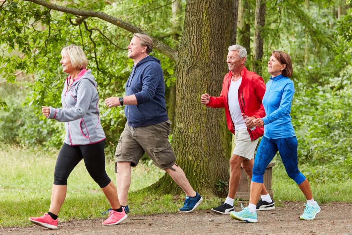 Groepje van vier mensen van oudere leeftijd is aan het wandelen