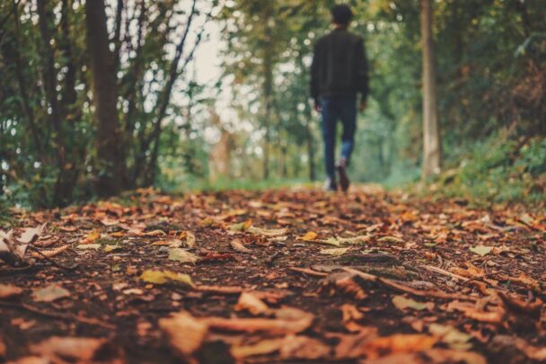 Man wandelt in het bos in de herfst