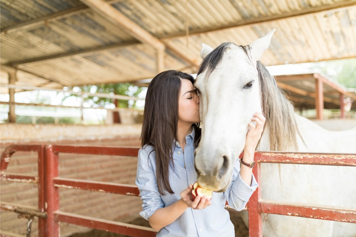 Vrouw geeft een paard een kus op de wang