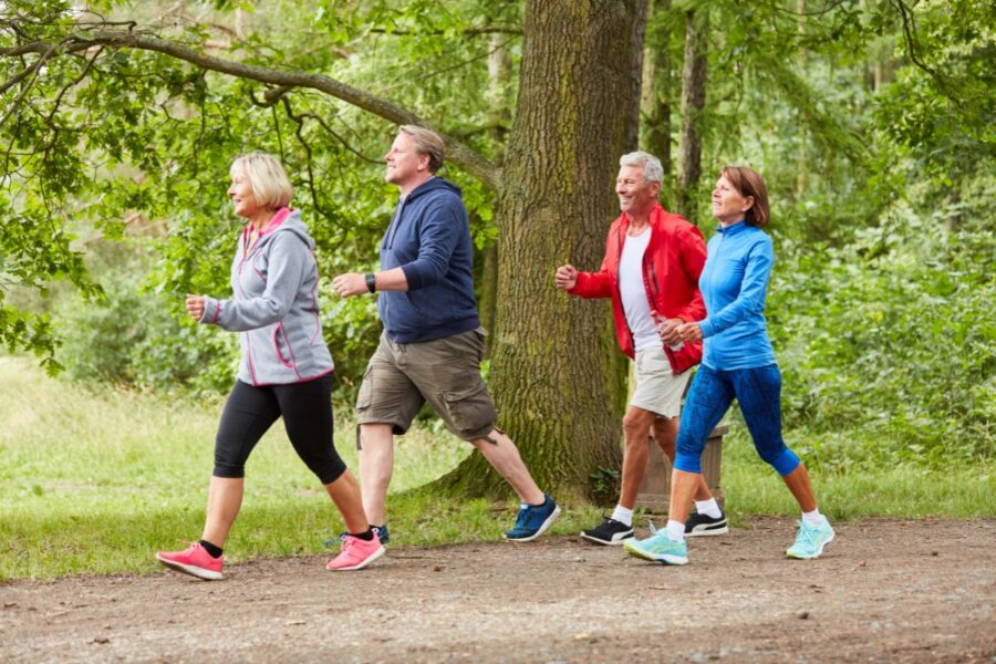 Vier mensen wandelen in een bosrijke omgeving